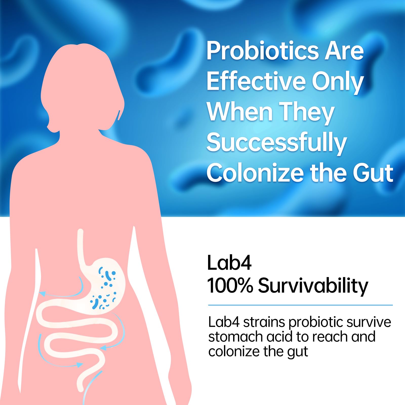 Travel-friendly, shelf-stable Purmeo Probiotics