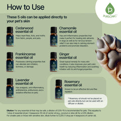 PURSONIC Ginger essential oil bottle