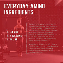 Packaging for Purus Labs Everyday Amino BCAA Powder