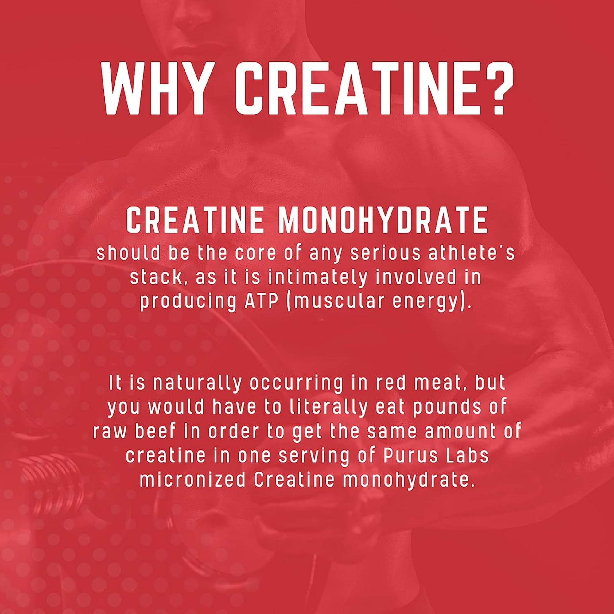 Unflavored creatine powder with Purus Labs branding