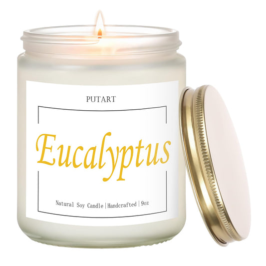 Putart Eucalyptus Mint 9oz soy candle in frosted white jar