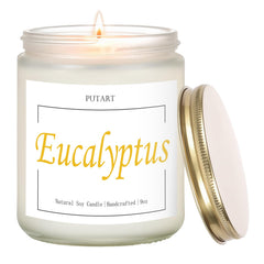 Putart Eucalyptus Mint 9oz soy candle in frosted white jar