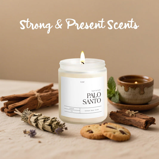 Top view of Putart Palo Santo candle jar