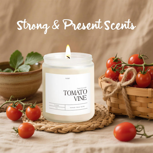 Close-up of Tomato Vine Candle fragrance notes: tomato leaves and grapefruit