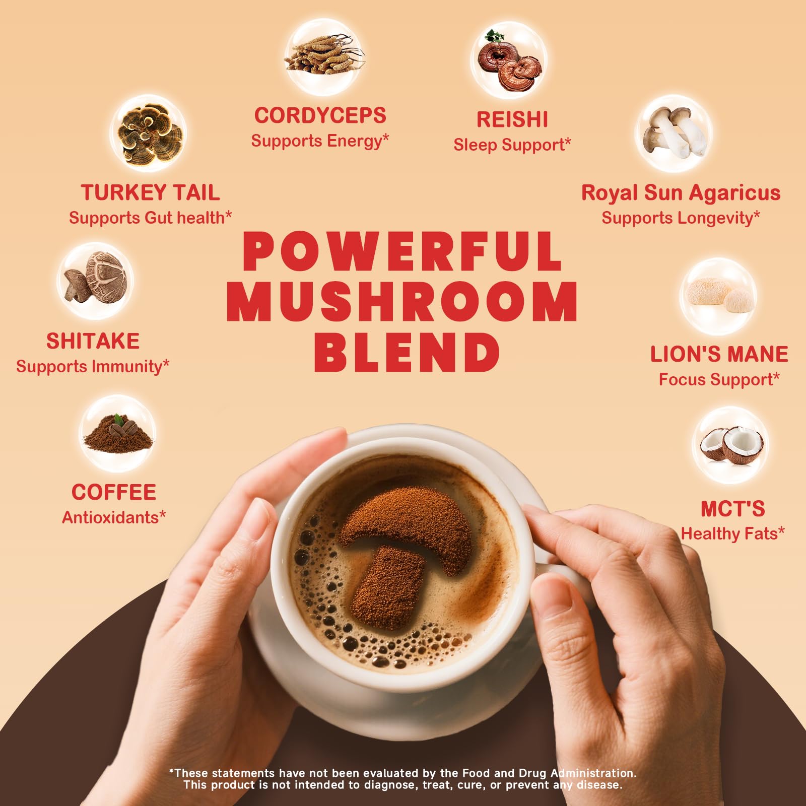 Close-up of mushroom ingredients used in PUTRIZEN coffee showing fruiting bodies