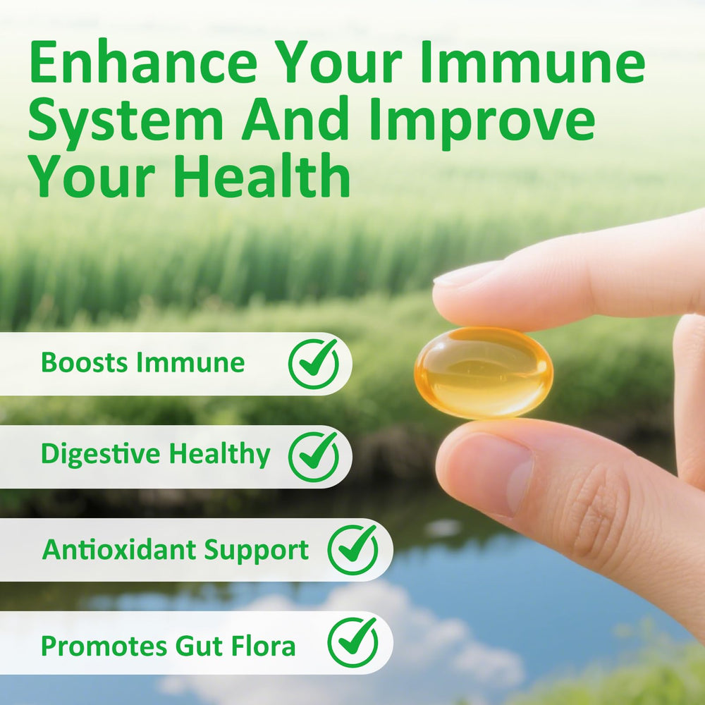 Oregano leaves and Nigella sativa seeds illustration