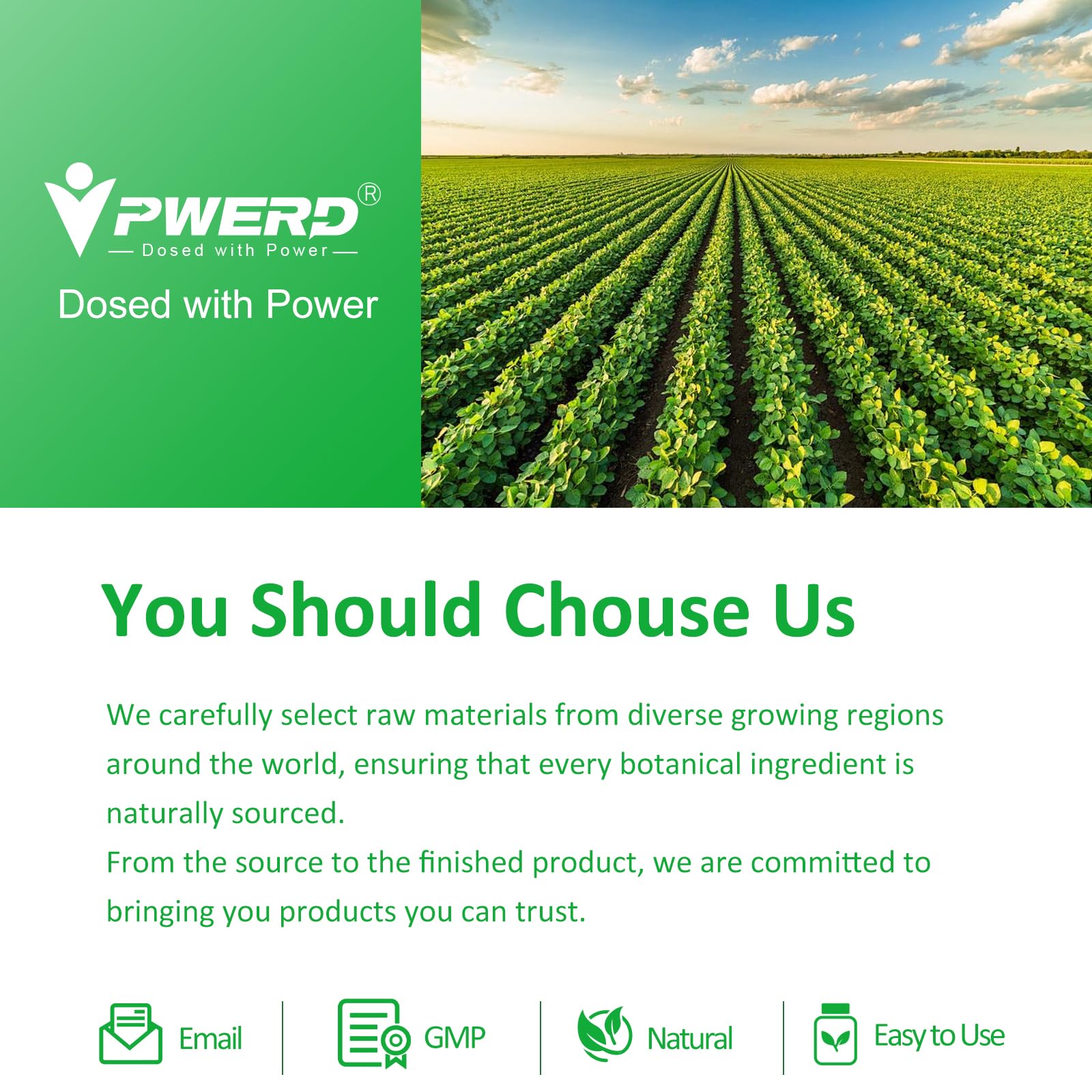 Healthy lifestyle image with oregano plant and capsules