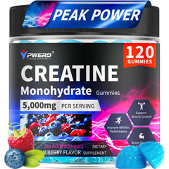 Front view of PWERD blueberry creatine gummies