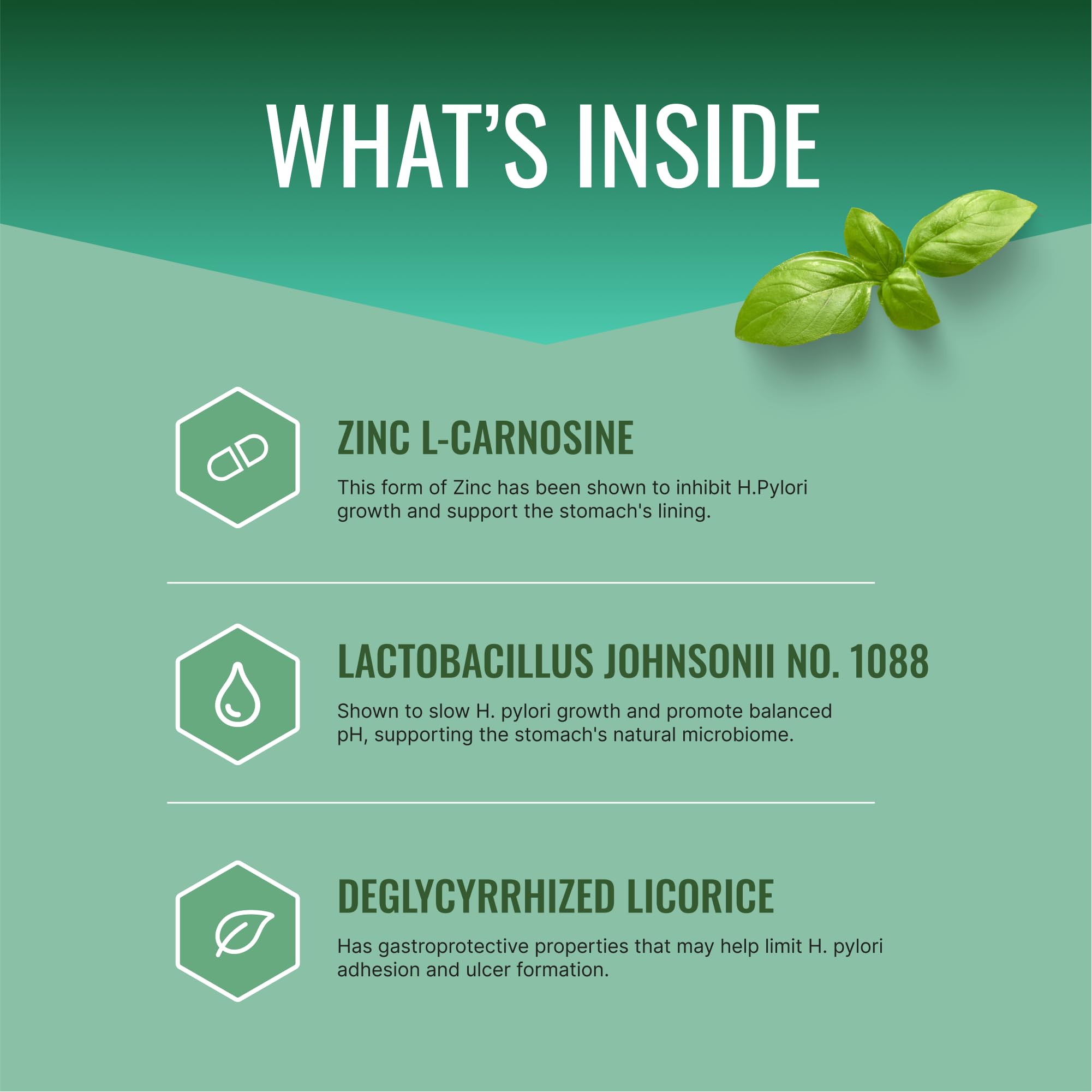 Zinc L-Carnosine ingredient highlight