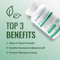 Broccoli sprout powder representing digestive support