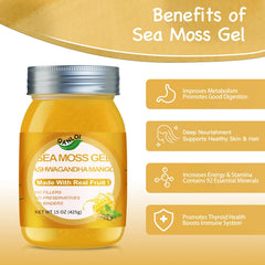 15oz jar of QANLOI Seamoss Gel