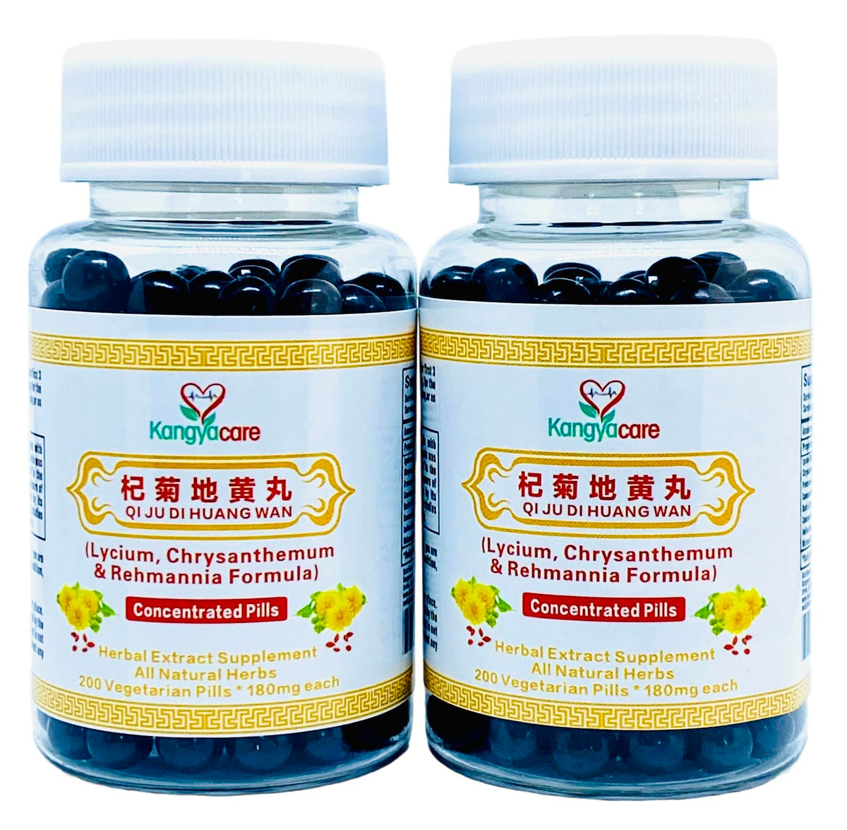 Qi Ju Di Huang Wan two-bottle packaging