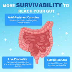 QIVERNAMY Probiotics 50+ on a bathroom counter for daily routine