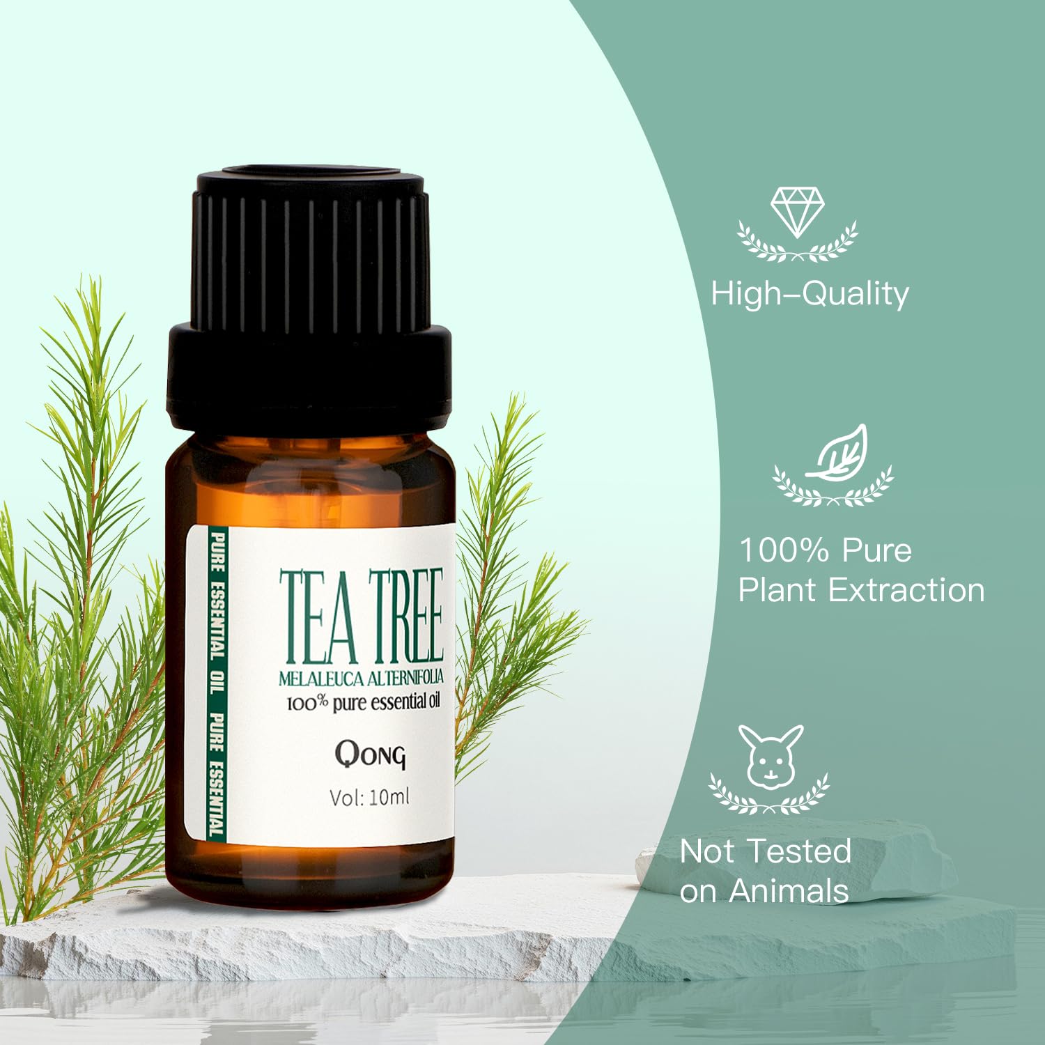 Natural ingredients and packaging close-up