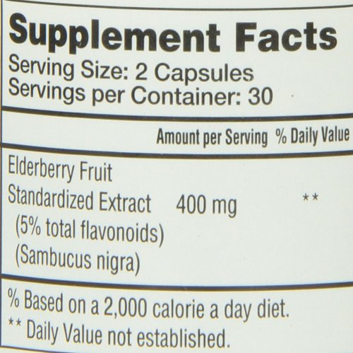 Healthy lifestyle and immune support concept with elderberry