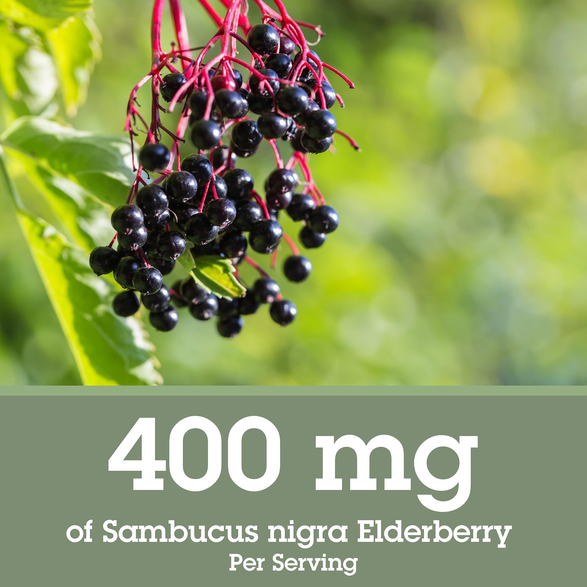 Close-up of Quantum Health elderberry label