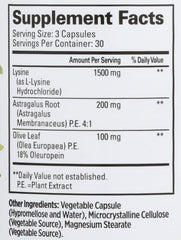 Capsules with healthy foods illustrating daily immune support