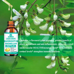 7 in 1 immune support infographic illustrating benefits