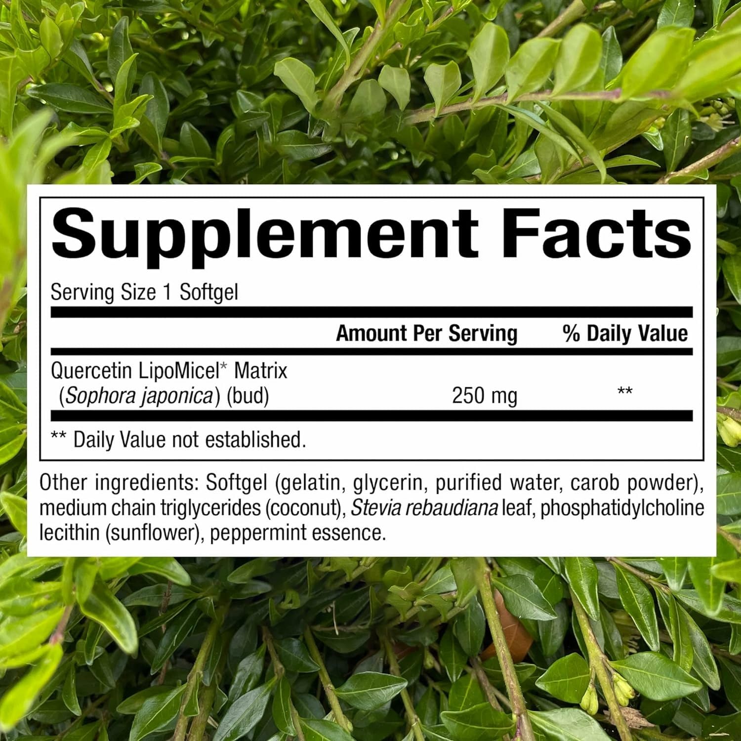 Graphic illustrating enhanced absorption of Lipomicel matrix quercetin