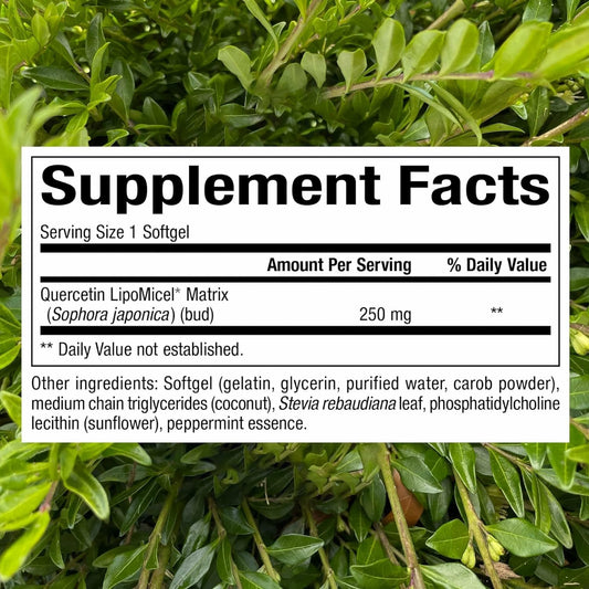 Graphic illustrating enhanced absorption of Lipomicel matrix quercetin