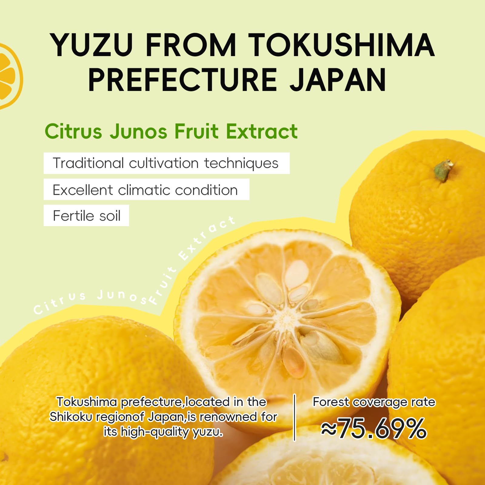 QUIYUM Yuzu exfoliating sheet masks pack for glow and hydration.