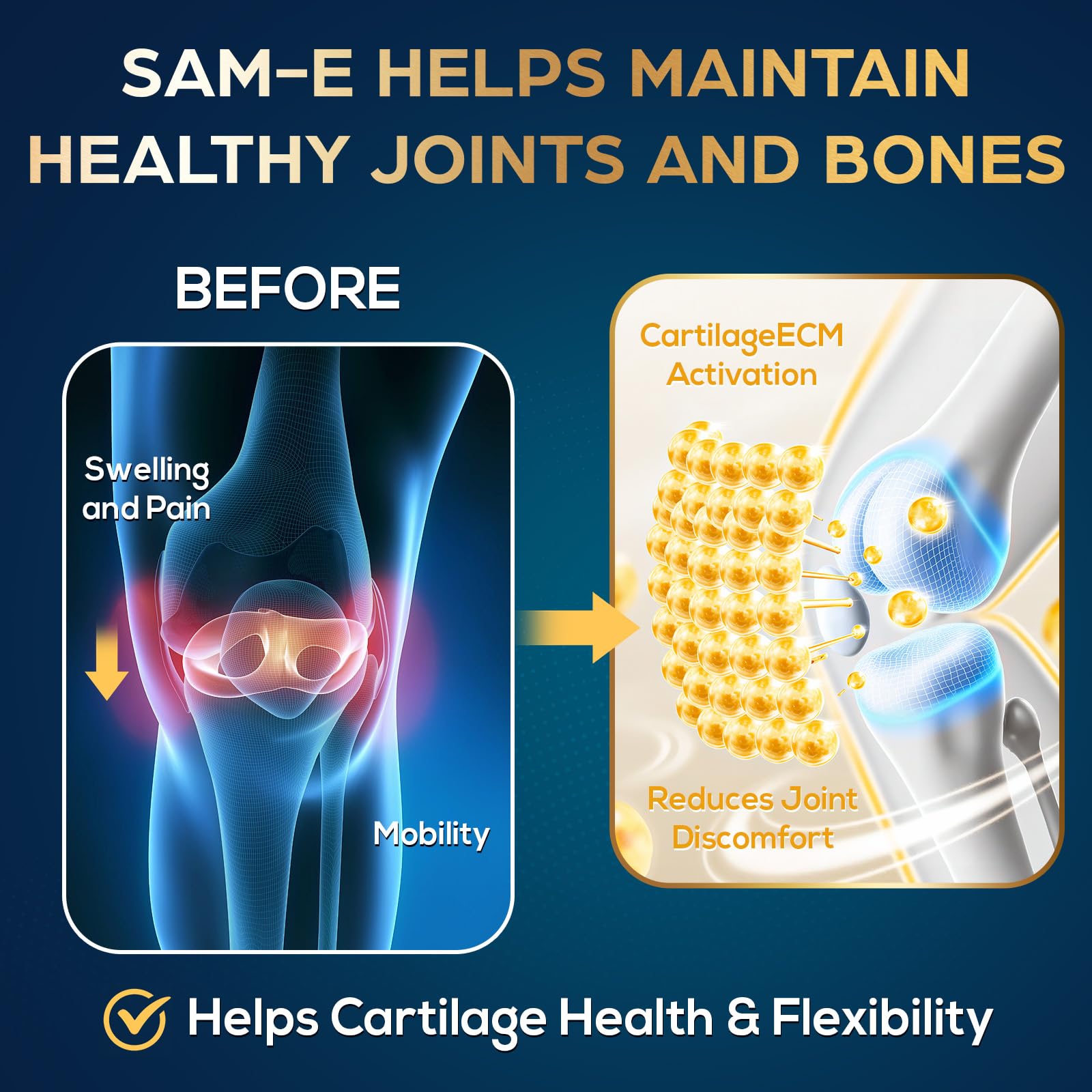 Close-up of vegan SAM-e capsule (500mg)