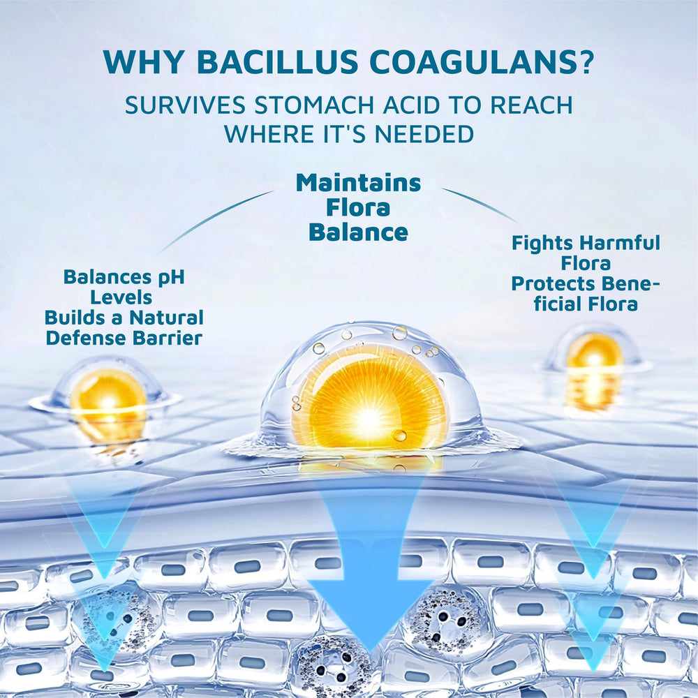 Gummies with probiotics Bacillus Coagulans