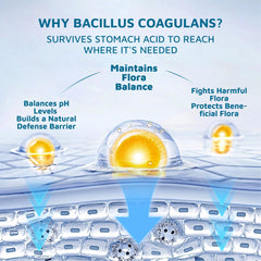 Gummies with probiotics Bacillus Coagulans