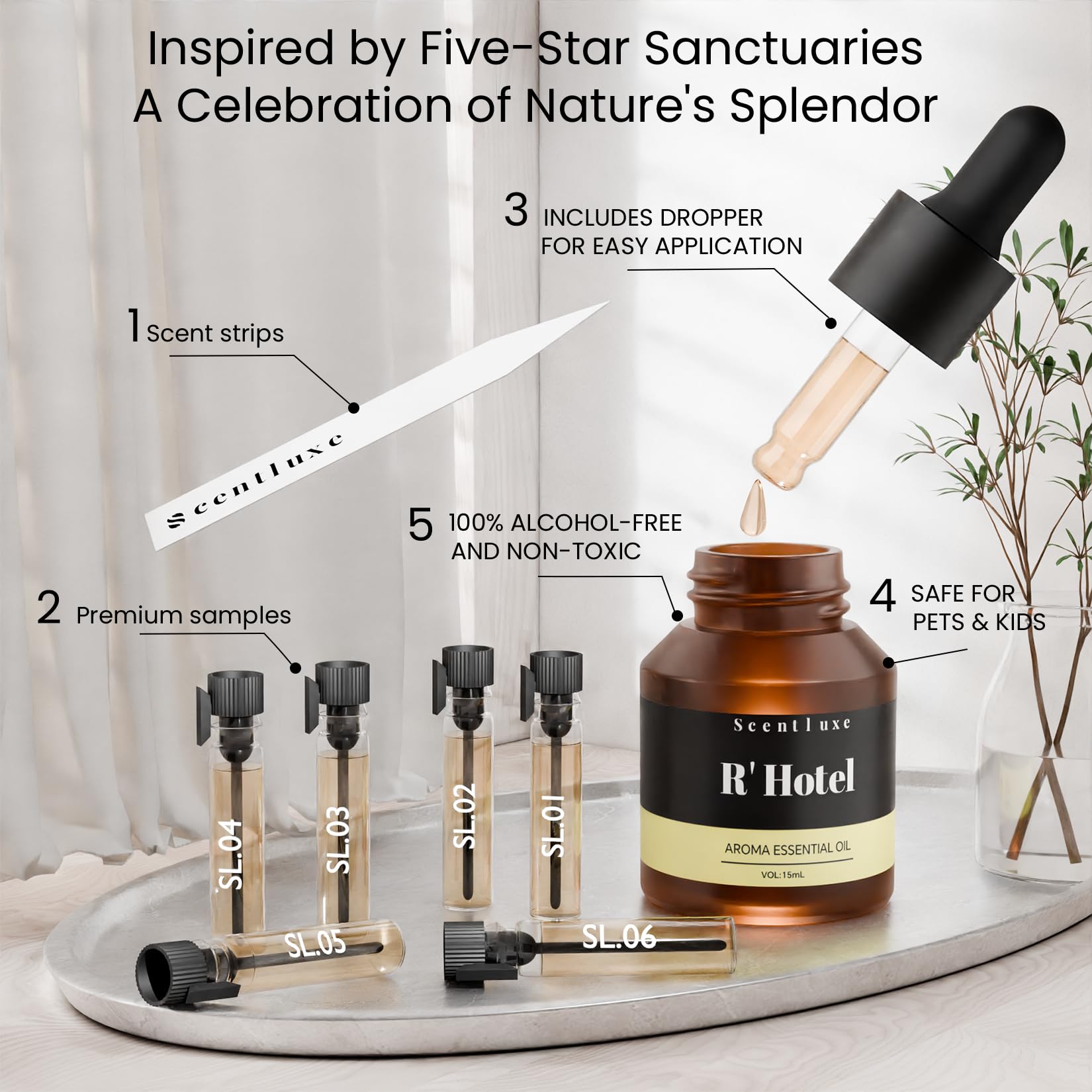 Woody base notes: musk, amber and American sycamore