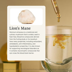 Rainbo Lion's Mane tincture packaging and label from Canada