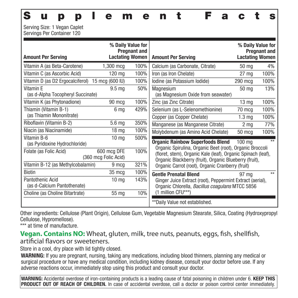 Close-up of Rainbow Light Prenatal One ingredients