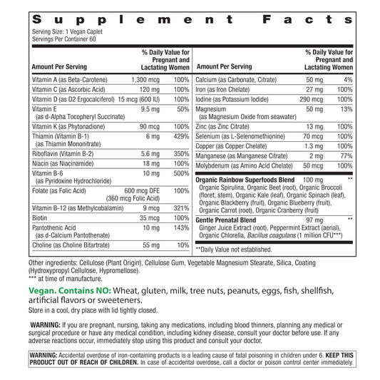 Close-up of Rainbow Light Prenatal One Plus tablets