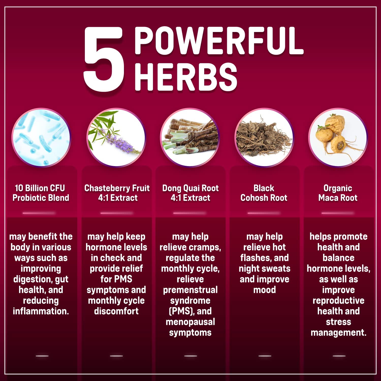 Rainbow Nutrients Probiotic Strains image notes 10 billion CFUs per serving for gut-friendly energy.
