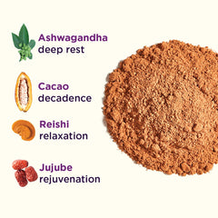 Illustration of adaptogenic ingredients: Reishi, Ashwagandha, Jujube