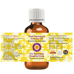 Close-up of Ravensara aromatica essential oil bottle