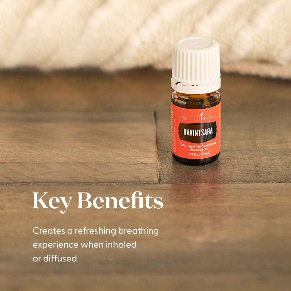Young Living Ravintsara Essential Oil 5ml | Invigorating Aroma for ...