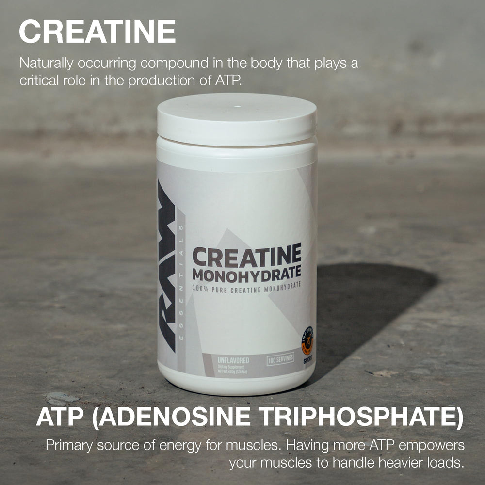 Close-up of creatine monohydrate powder texture
