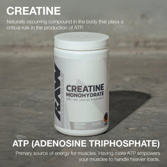 Close-up of creatine monohydrate powder texture