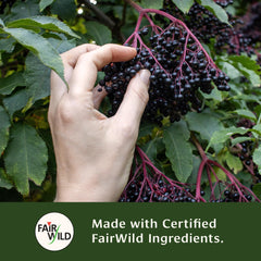 Raw organic honey sourced from Hawaii, USA