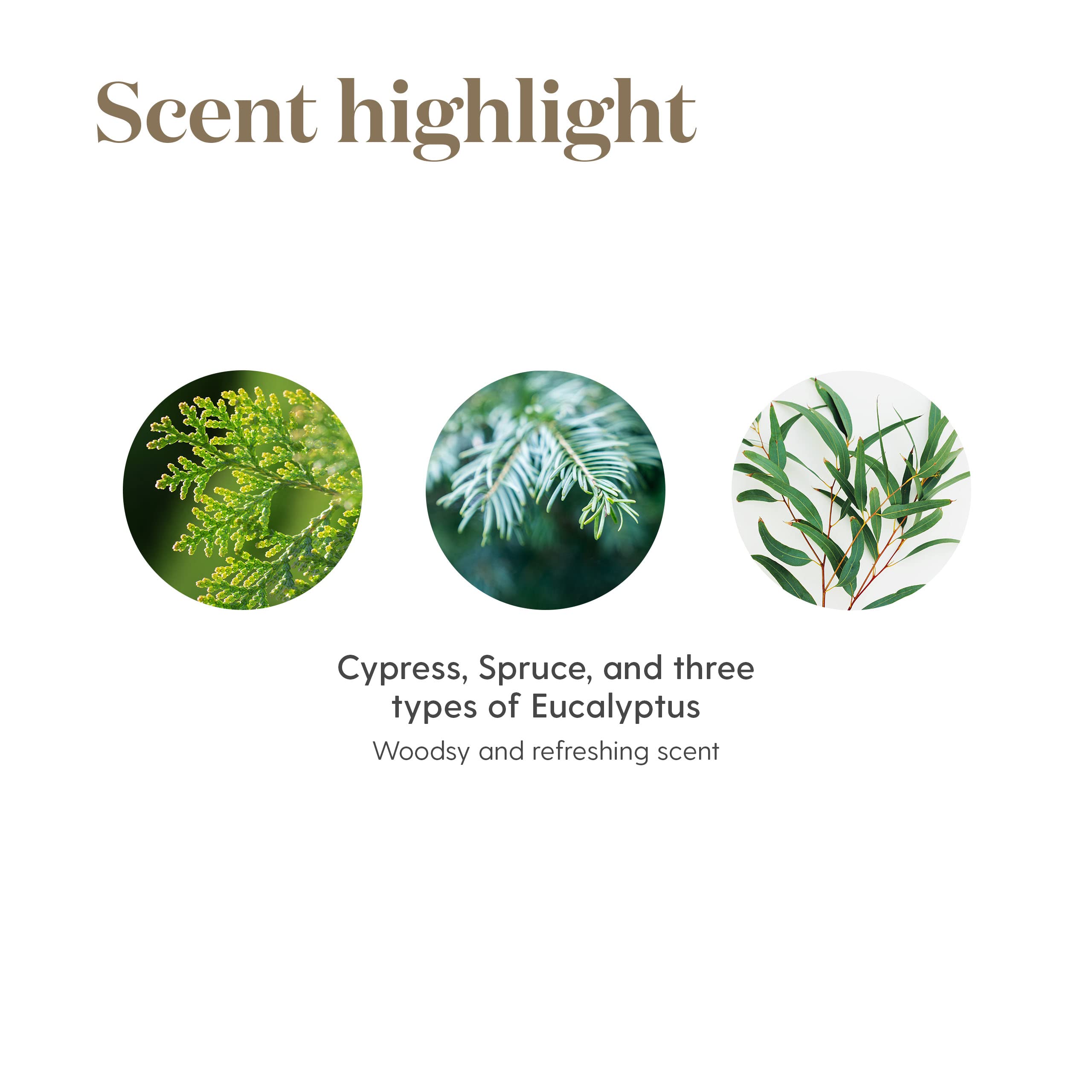Aroma of R.C. Essential Oil Blend diffusing in a diffuser