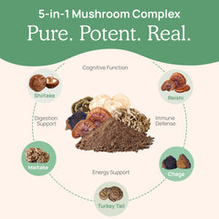 Chaga, Turkey Tail, Reishi, Maitake and Shiitake mushrooms mix