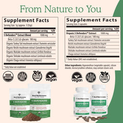 Real Mushrooms 5 Defenders fruiting body extract close-up