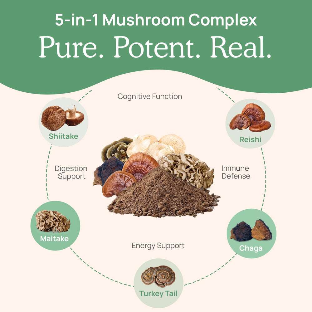 Turkey Tail mushroom component for 5 Defenders blend