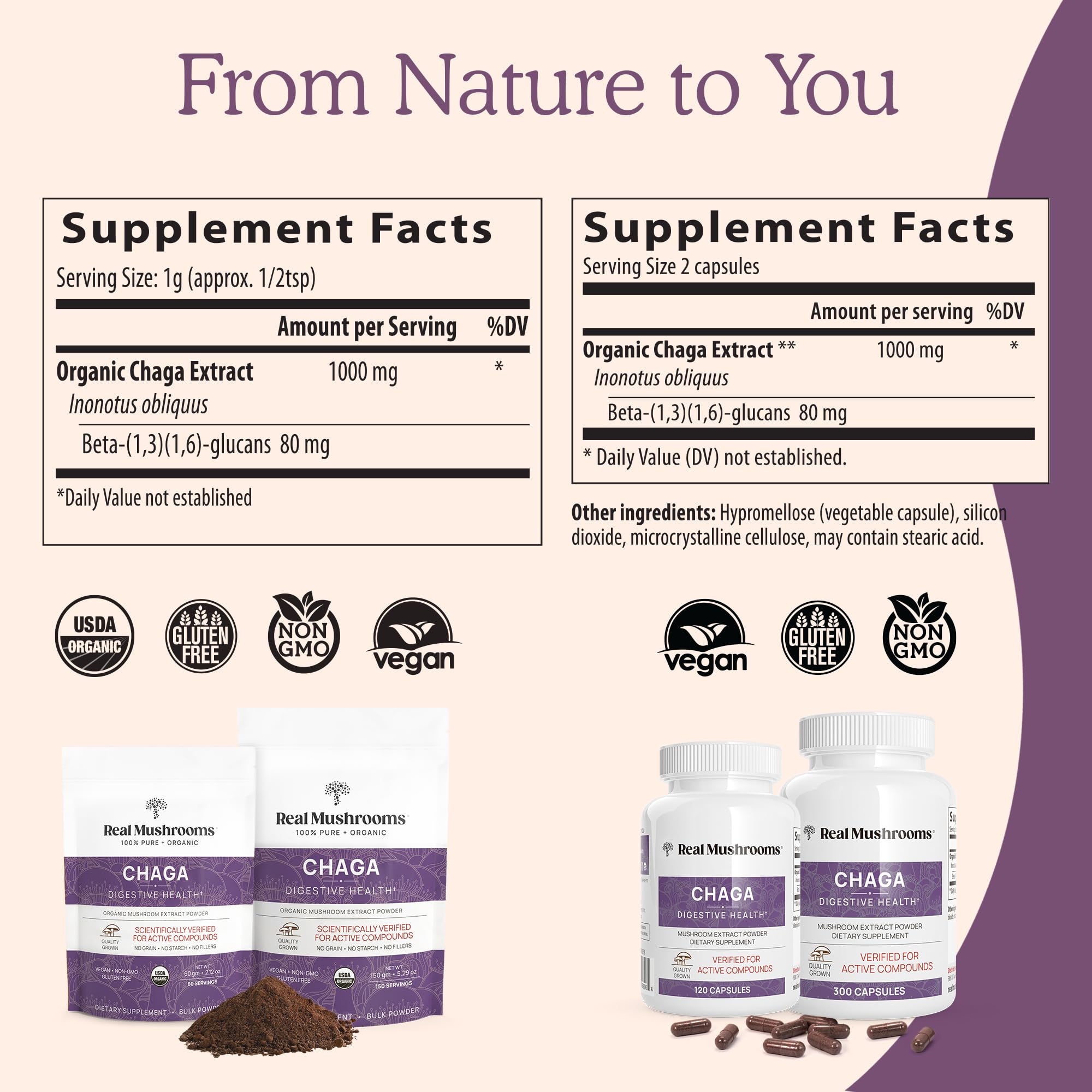 Wild-harvested Chaga mushroom extract powder (fruiting body)