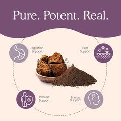 Chaga mushroom extract capsule close-up