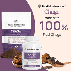 Real Mushrooms Chaga capsules close-up showing purity and potency.