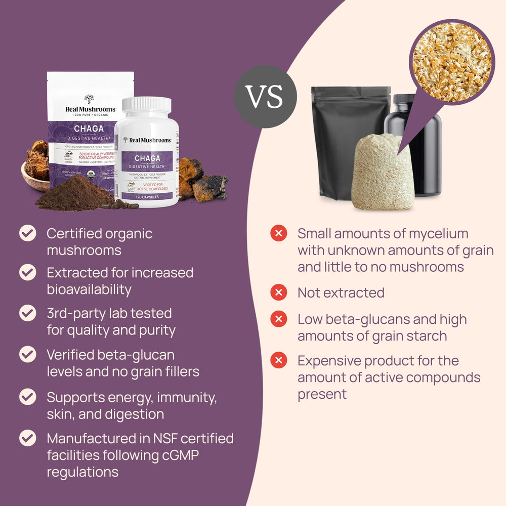 Real Mushrooms Chaga used in coffee or smoothie for daily ritual.
