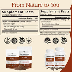 Real Mushrooms Reishi powder scoop — easy daily dosage for coffee or tea.