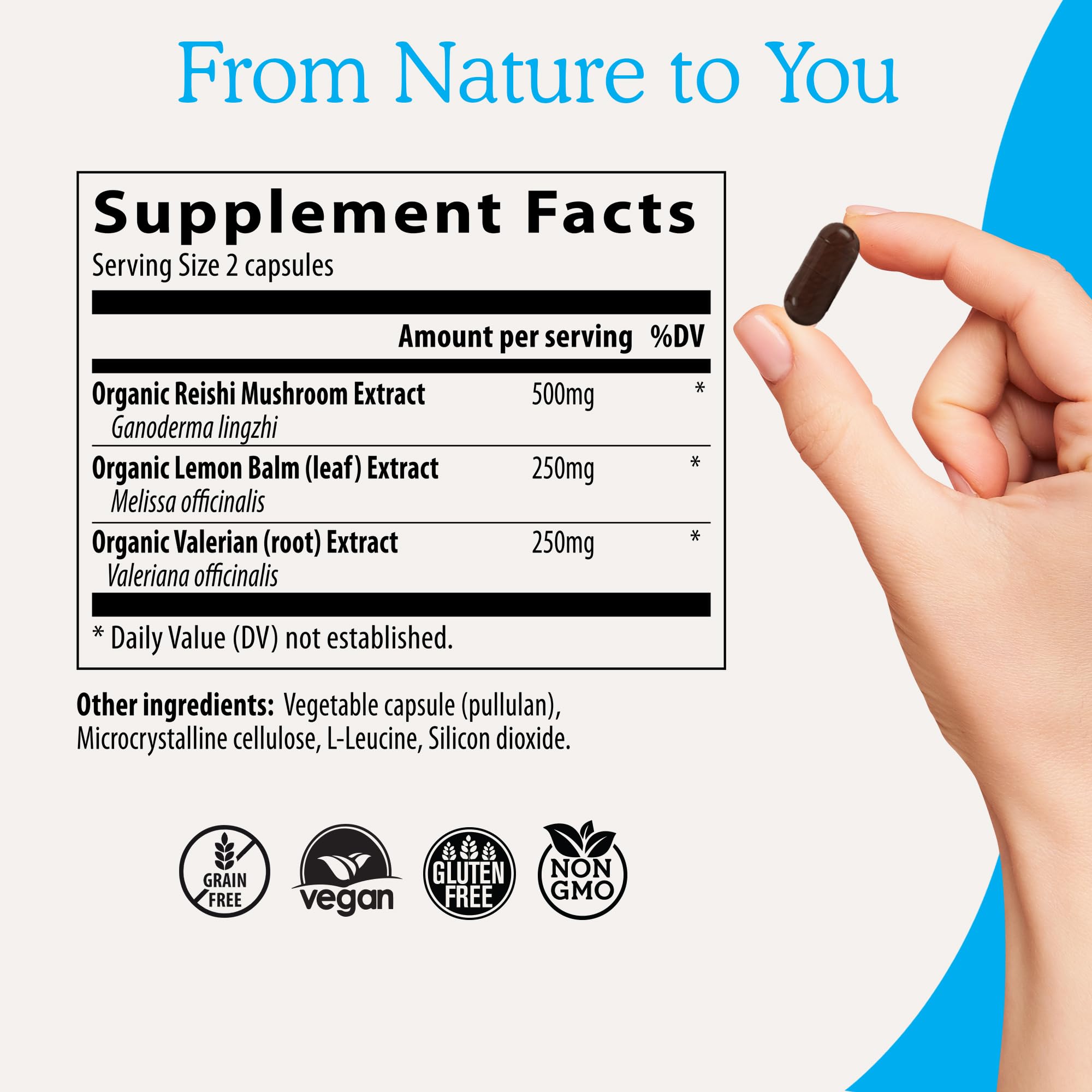 Organic reishi mushrooms arranged for RealRest supplement