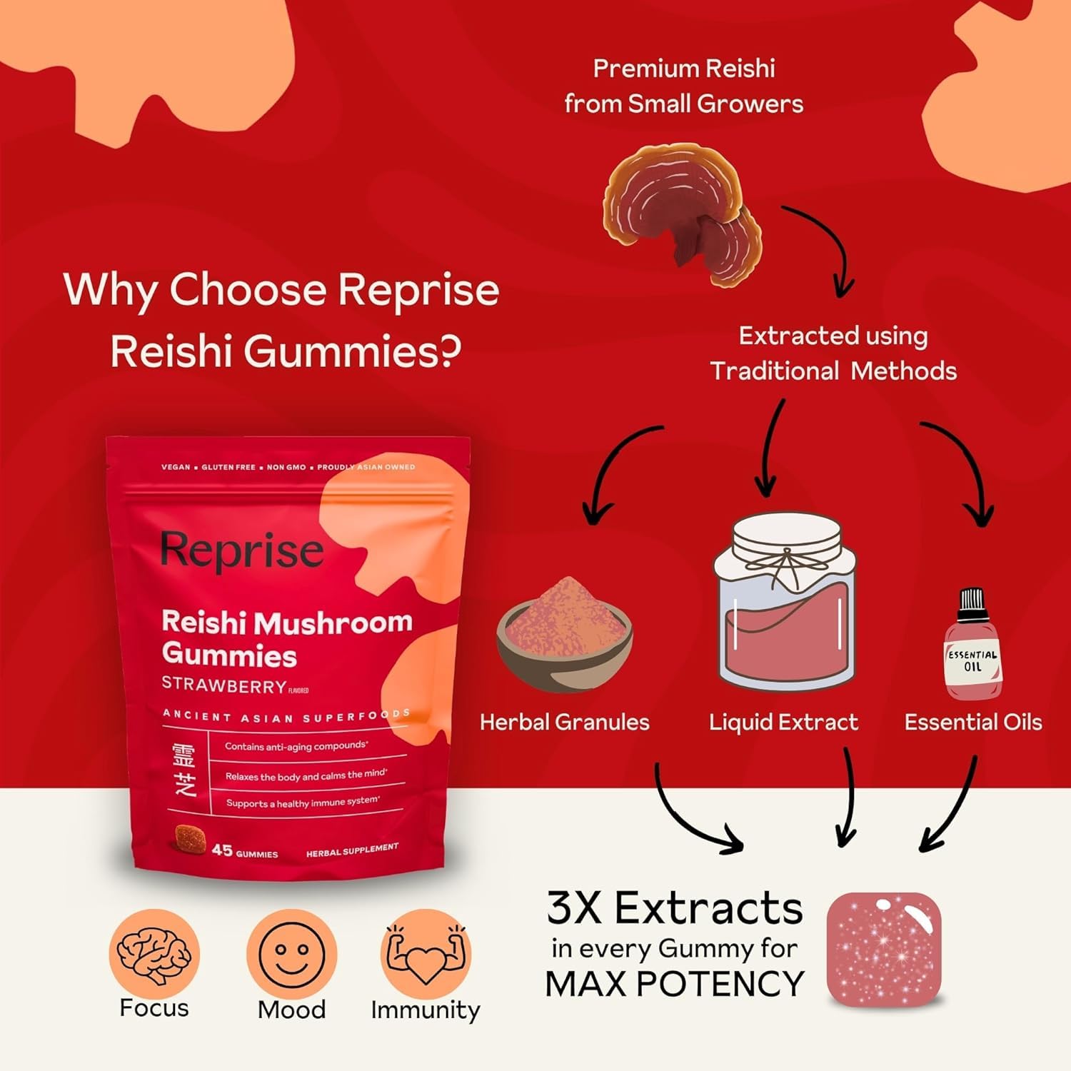 Red Reishi mushroom (Ganoderma lucidum) image